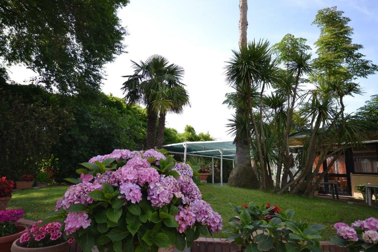 Il Piccolo Nido Bed & Breakfast Borgo Montenero Exterior photo